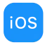 Custom Software Development