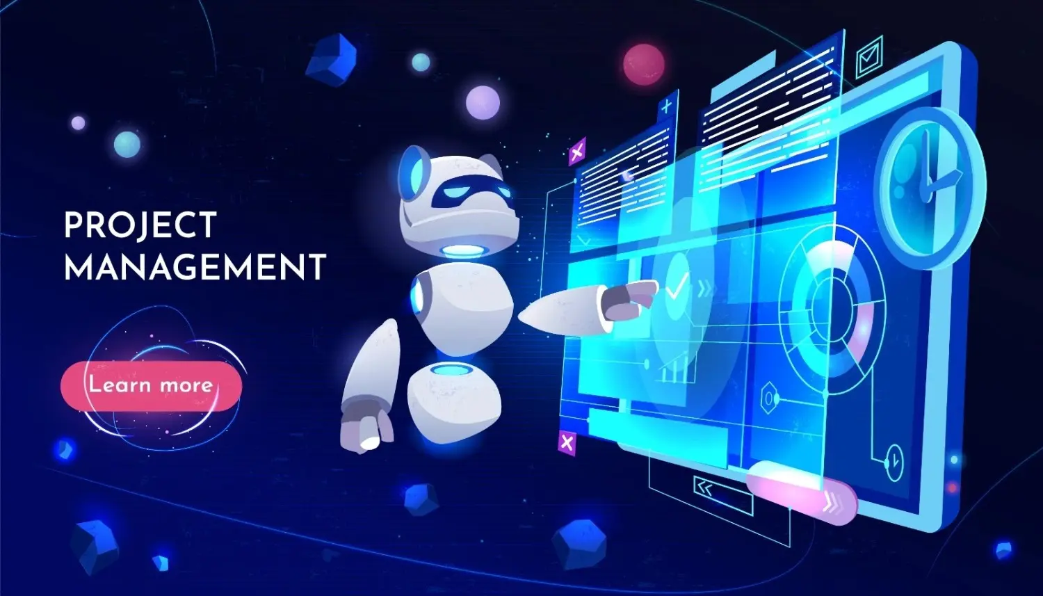 Project Requirements