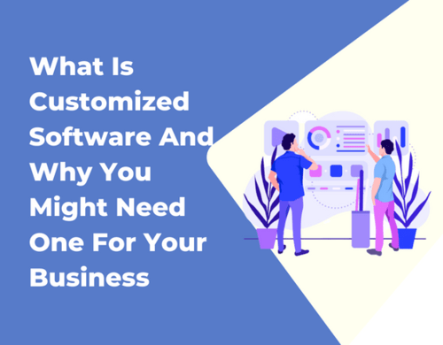 What Is Customized Software And Why You Might Need One For Your Business